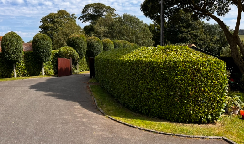 TH Fencing & Landscaping|Gate Installation