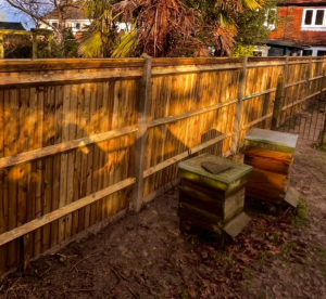 Read more about the article Is It Better to Repair or Replace a Garden Fence in West Sussex