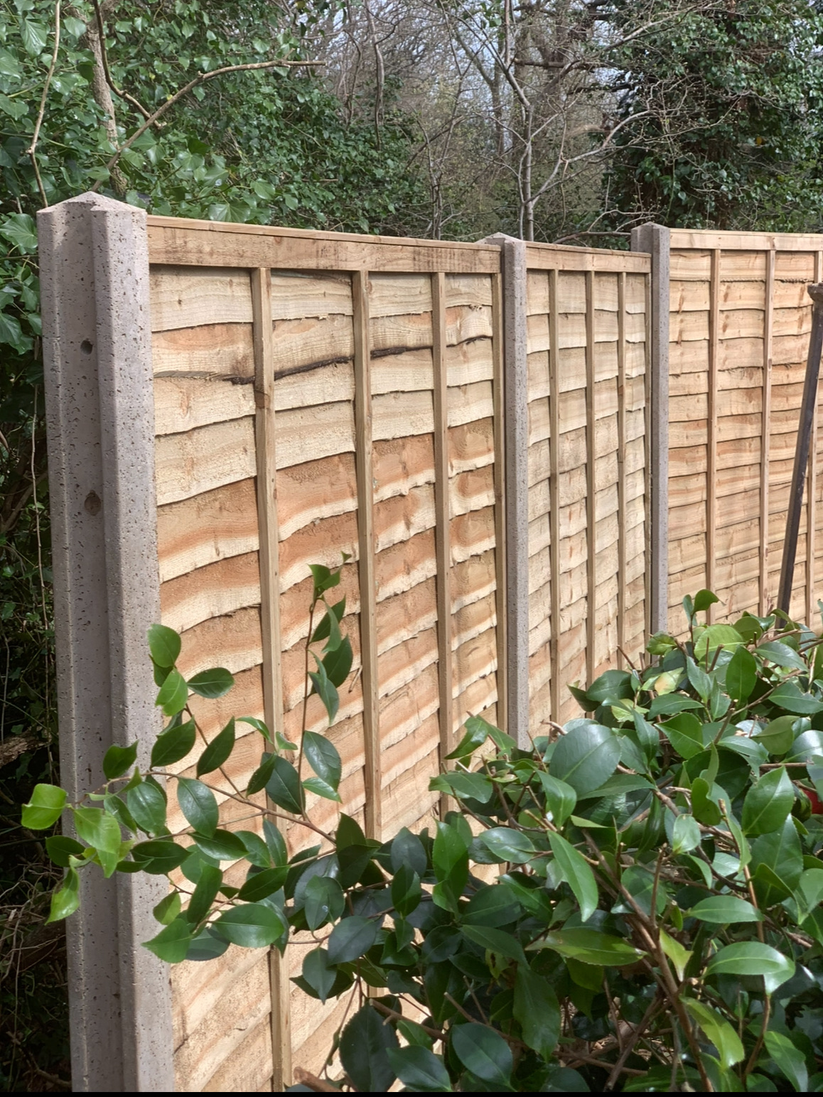 10 Modern Garden Fencing Ideas for 2026 Guide