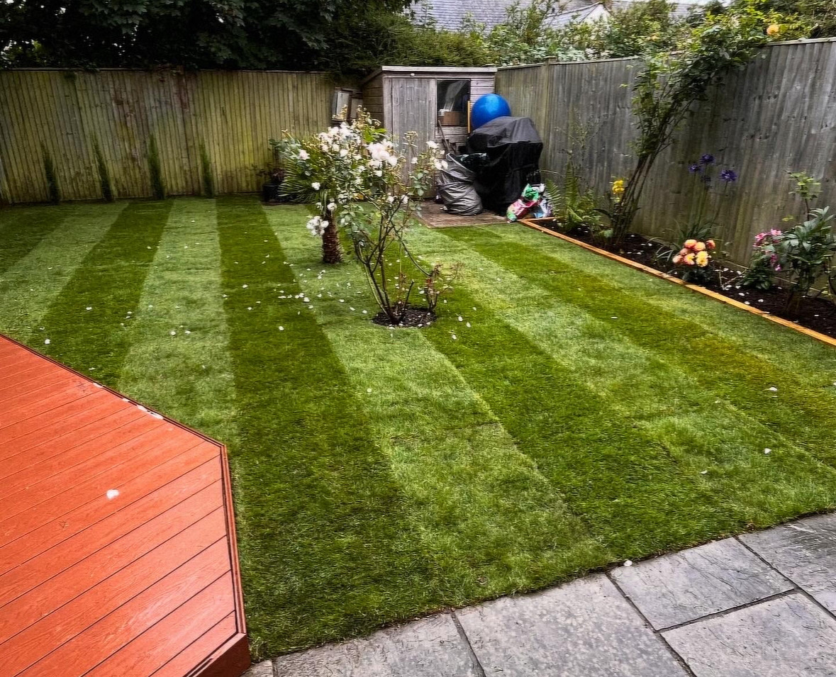 10 Modern Garden Fencing Ideas for 2026 Guide