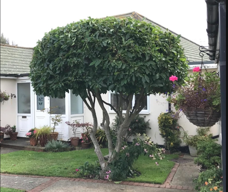 TH Fencing & Landscaping|Gate Installation