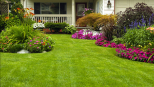 Landscaping Solutions